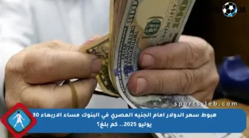 هبوط سعر الدولار أمام الجنيه المصري في البنوك مساء الأربعاء 30 يوليو 2025.. كم بلغ؟